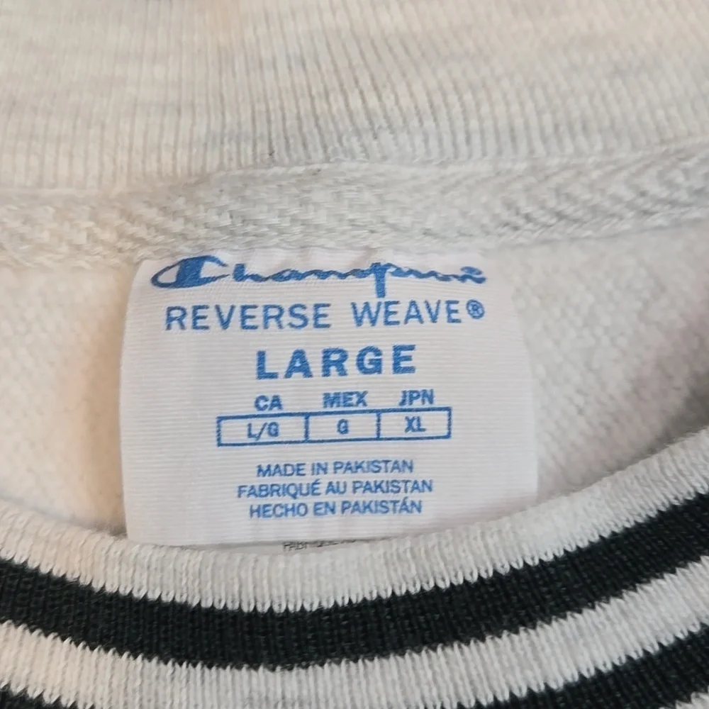 Vintage Champion Mens Okoboji The Lake Reverse Weave 90" Crewneck Pullover Sz L - Picture 5 of 7
